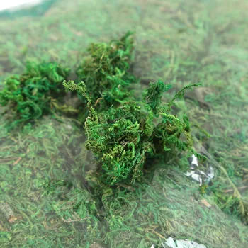 Umetna Zelena Suh Mah Okrasne Rastline Vaza Šota Simulacije Krajine Ponaredek Cvet Pribor Vaza Dekoracijo