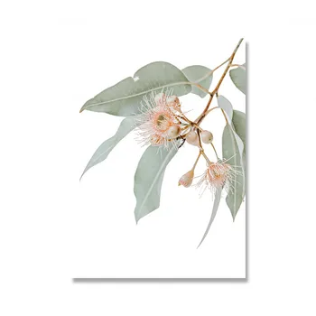 Platno Slikarstvo Avstralija Rastline Listi Kralj Protea Cvetje Wall Art Slik, Plakatov za Dnevni Sobi Doma Dekoracijo Unframe